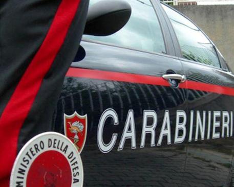 ROMBIOLO (VIBO VALENTIA): colpi fucile contro garage imprenditore