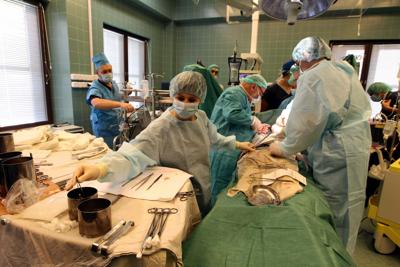 Chirurgia "miracolosa", riattaccata testa a bimbo di 16 mesi decapitato in incidente