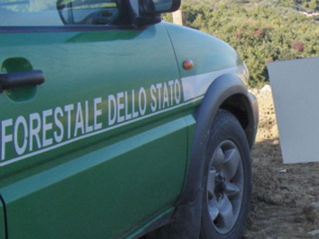 Varapodio (Reggio Calabria): rimuove sigilli azienda, arrestato