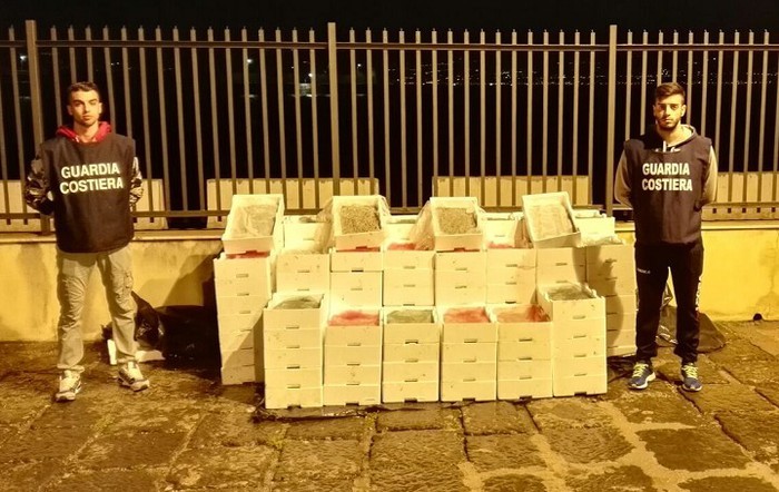 Reggio Calabria: sequestrati 750 kg novellame di sarda