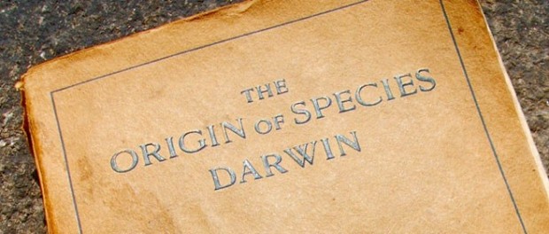 Accadde oggi: 24 novembre 1859, esce ‘Le Origini della specie’, il libro-scandalo di Charles Darwin