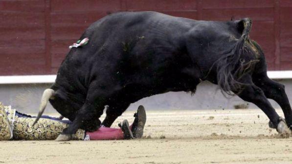 Francia, morto torero spagnolo Ivan Fandino: incornato in una corrida