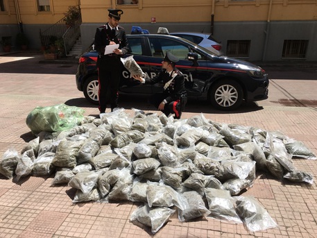 PALMI (REGGIO CALABRIA), centocinquanta kg droga nascosti, arresti