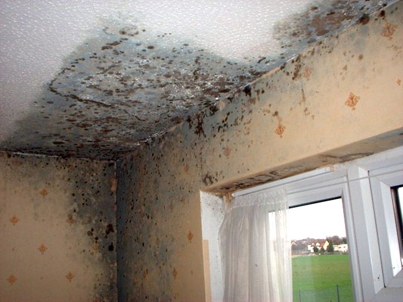 Umidita' di risalita e muffa sulle pareti un problema diffuso