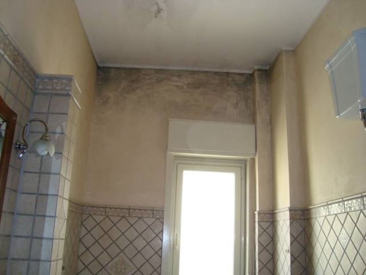 Umidita' di risalita e muffa sulle pareti un problema diffuso