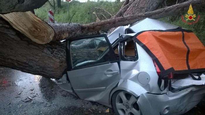 Ardea: albero cade su auto, 2 morti