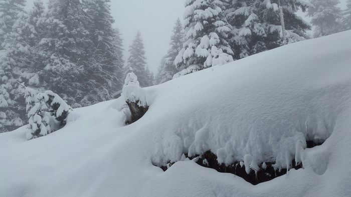 Sulle Dolomiti in arrivo 70 cm di neve