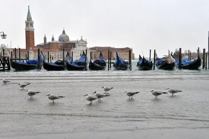 Venezia, marea tocca i 104 centimetri