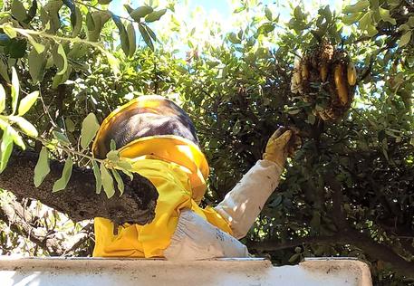 Tolentino (Macerata), crolla azienda, 40 mln api senza lavoro