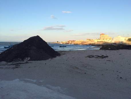 BARI: rimosse 380 tonnellate alghe a sud Bari