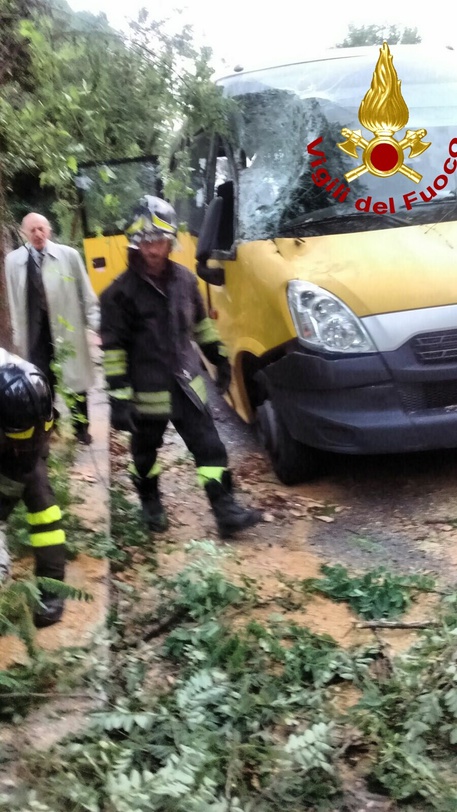 ROMA, cade albero su scuolabus, 3 feriti