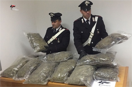 CURINGA (CATANZARO), trovati 30 kg marijuana in un casolare