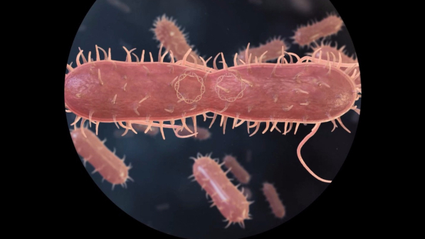 L'arma contro i super batteri? Si trova nel naso: scoperto un potente antibiotico ''umano''