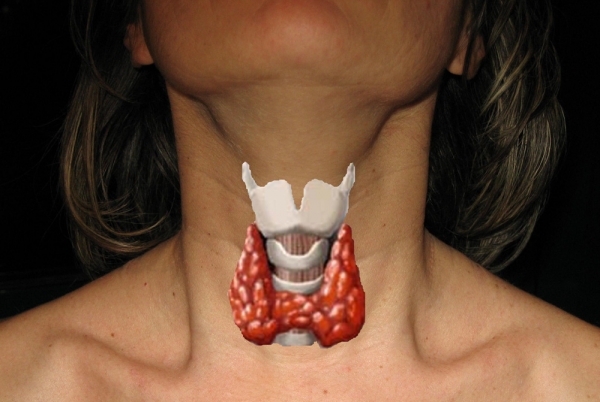 Se la tiroide funziona poco...il metabolismo rallenta