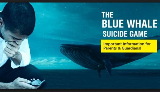 ''Blue whale'', il gioco della morte inventato da Philip Budeikin: identikit di un serial killer