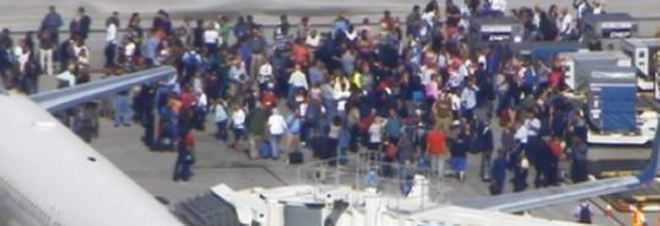 Florida, sparatoria in aereoporto: cinque morti