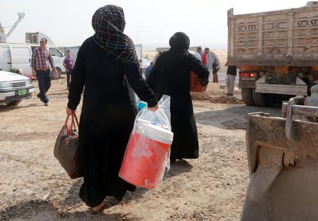 Iraq: 'incentiviamo la poligamia'