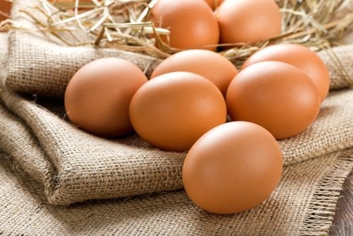 Continua allerta uova contaminate in Europa: anche Italia ha ricevuto prodotti da aziende coinvolte