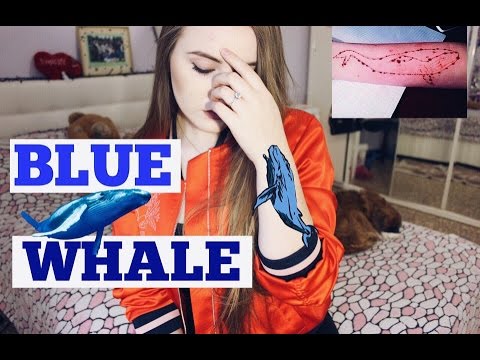 Blue Whale, a Milano la prima persona indagata