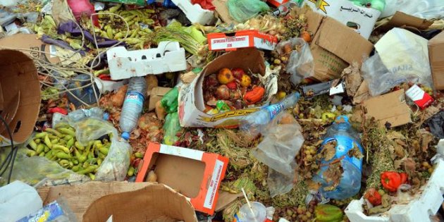 CALABRIA, Codacons, 500 mln euro spreco annuo cibo