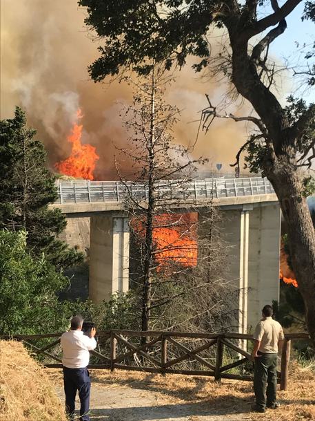 CATANZARO, incendi: rogo doloso in parco