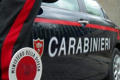 LOCRI (REGGIO CALABRIA), Carabinieri trovano 5000 piante canapa