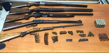 SANT'EUFEMIA D'ASPROMONTE (REGGIO CALABRIA), fucili e munizioni in terreno, 3 arresti