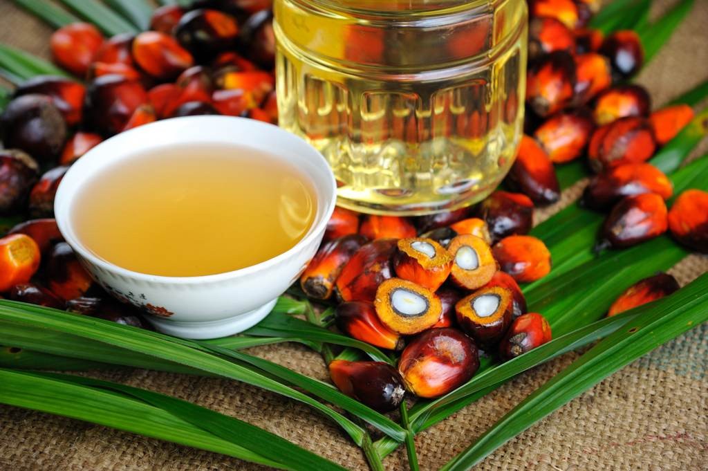 Olio di palma e grassi idrogenati: quando diventano un pericolo